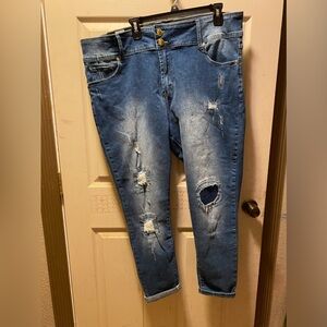 Chic Denim Asha High Rise Skinny Jeans